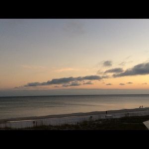 Meet your Posher, Elise